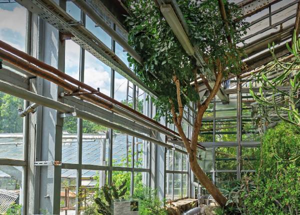 Зимний сад в городском парке в Лобне